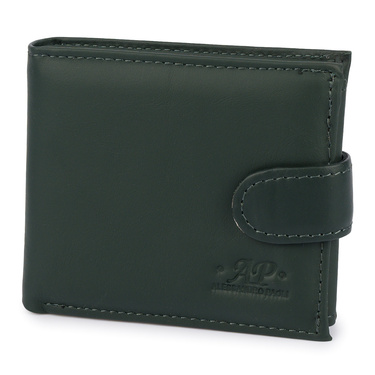 PORTFEL AP 98-153 GREEN