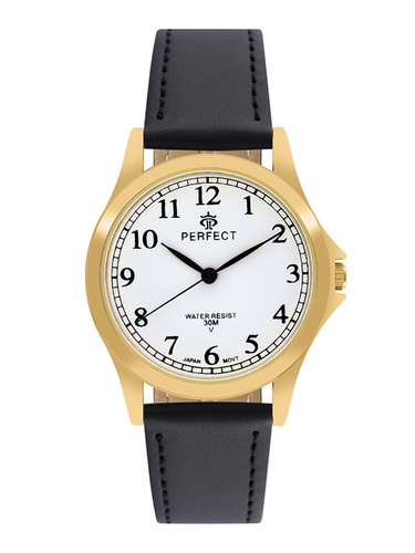 PERFECT GP005-11