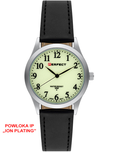 PERFECT GXIP004-07