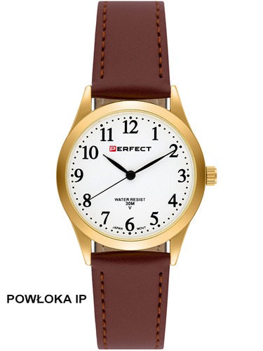 PERFECT GXIP004-12