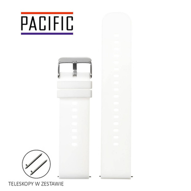 PASEK U27 - 22/SL - BIAŁY / SREBRNY - 18mm